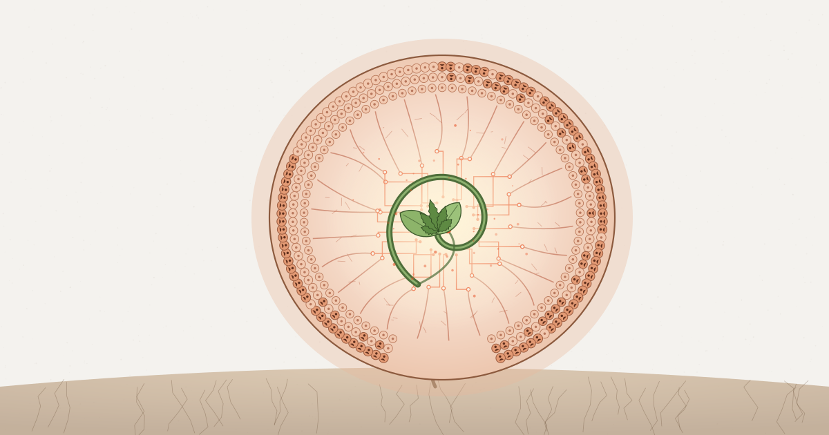 A green seedling curled like a fetus inside a seed pod whose wall is made of many small identical cells and tiny human figures, with vessels turning into circuit traces as they feed the seedling, the pod resting on soil